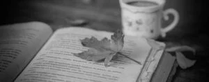 Dicas de Livros