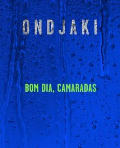 Bom dia Camaradas